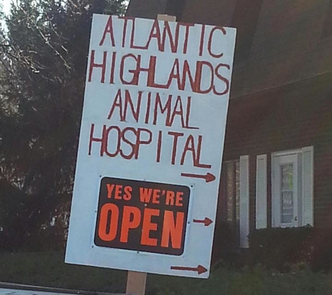 Atlantic Highlands Animal Hospital - Atlantic Highlands, NJ