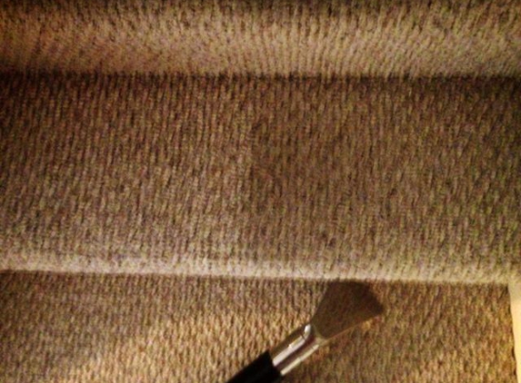 Force Carpet Cleaning - Waterford, MI