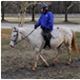 Wheaton Park Stables