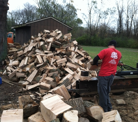 Steve's Tree Service, Landscape, Hauling, & Excavating - Toledo, OH