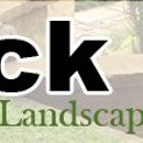 Black Lab Tree Service - Tree Service