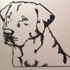 Shallow Creek Farm Canine Supply & Gifts gallery