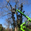 Schnell Tree Service LLC gallery