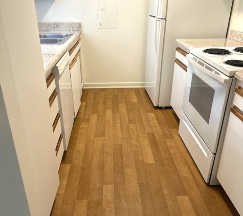 Dust Bunnies of Orange County. A clean kitchen in an apartment here near UC Irvine ready for move in!
