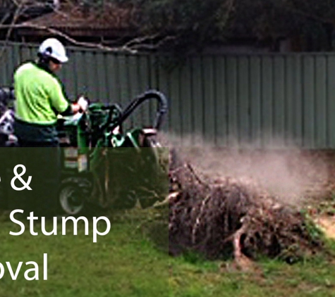 Newcastle Tree Care - Warners Bay, NSW. Large & Small Stump Removal