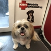 K911 Mobile Grooming Award Winning gallery