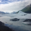 Knik Glacier Tours gallery