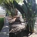 Pineda's Gardening Service - Gardeners