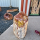 Jim Gray's Petrified Wood Co.