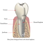 Dental Arts Group