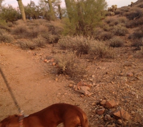 George Doc Cavalliere Park - Scottsdale, AZ