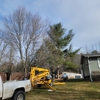 Affordable Tree Service gallery