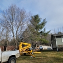 Affordable Tree Service - Tree Service