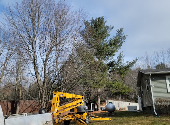 Affordable Tree Service - Sanford, MI