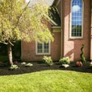 Evergreen Landscape Management - Tree Service