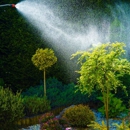 Pest Control by Tammy Parker - Forney TX - Pest Control Equipment & Supplies