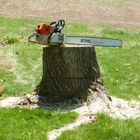 Best Stump Removal