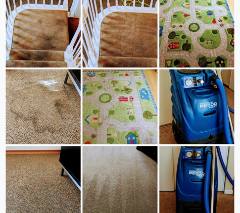 Pro Carpet and Upholstery Cleaning Service