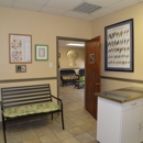 Animal Kingdom Pet Hospital - Pet Services