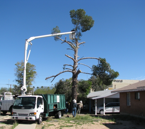 Arizona Tree & Landscape Service Inc - Tucson, AZ