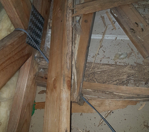 Picton Pest Control