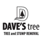 Dave's Tree