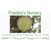 Frankie's Nursery gallery