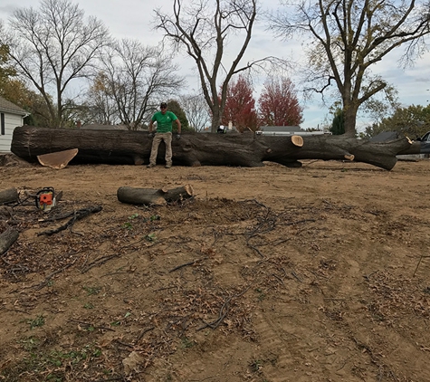 Dooley Bro's Tree llc - Kansas City, MO