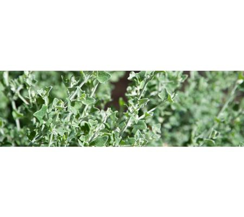McKindlays Riverine Nursery - Moama, NSW