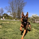 Off Leash K9 Training, Lehigh Valley - Dog Training