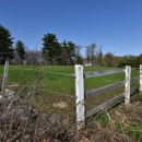 Our Farm in Southern NH - Poultry Farms