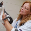 Small Animal Hospital - Veterinary Clinics & Hospitals