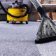 Dry Advantage Organic Carpet Cleaning