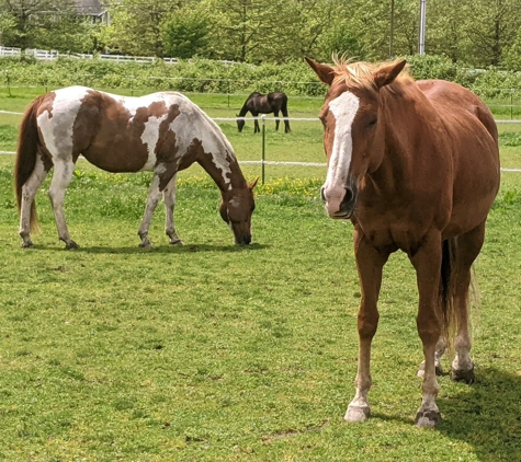 Northwest Natural Horsemanship Center - Fall City, WA