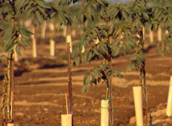 Agri -Valley Irrigation - Merced, CA