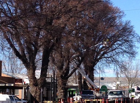 McMahon's Earthmoving & Tree Service - Jindabyne, NSW