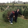 Holiday Tree Farm gallery