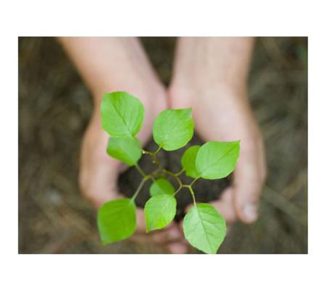 Bill's Gardening & Mowing Services - Narellan, NSW