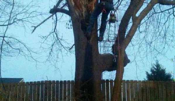 L & L Tree Service - Jacksonville, NC