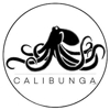 Calibunga Surf Lessons gallery