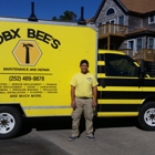 OBX BEE'S Maintenance and Repair