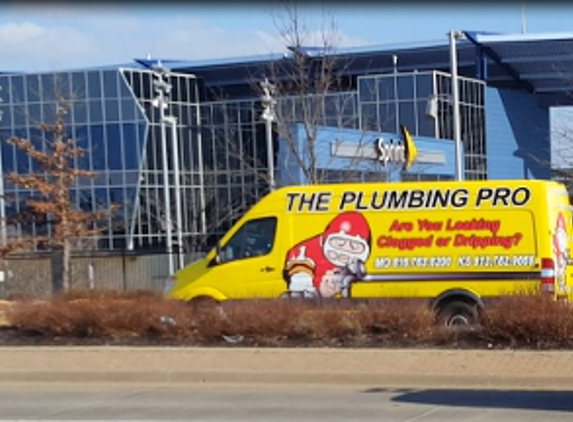 The Plumbing Pro