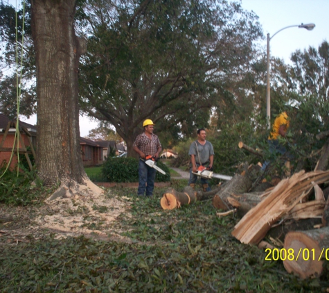Rey Tree Service LLC - Tampa, FL
