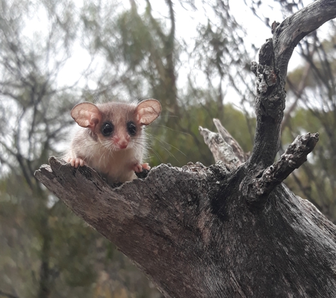 Wimmera CMA - Horsham, VIC