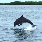 Great Day Boat Tours