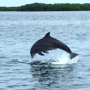 Great Day Boat Tours