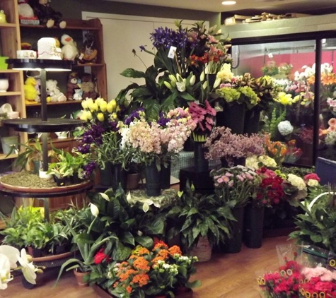 Town & Country Flowers - Manhasset, NY