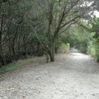 Weedon Island Preserve