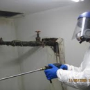 Big Apple Mold Removal - Water Damage Restoration