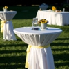 973 Party Rentals gallery